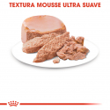 Royal Canin-BabyCat Instinctive Umido 195gr (1)