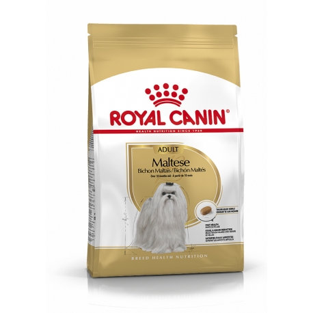 Royal Canin-Bichon Maltese Adulto (1)
