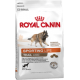 Royal Canin Dog Sporting Life Energy 4300, cibo secco per cani ad alta energia