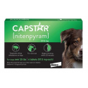 Elanco-Capstar per Cane Grande (1)