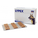 vetplus-Lypex per Cane e Gatto (1)