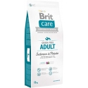 Brit care adult salmon pienso para perros