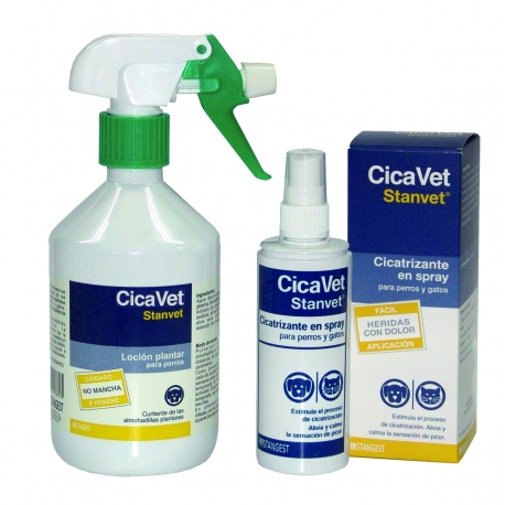Stangest-CicaVet per CAne e Gatto (1)