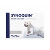 Vetplus Synoquin EFA Cane Grande