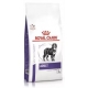 Royal Canin Dog Large Veterinary cibo secco per cani di taglia grande