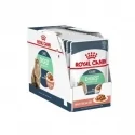 Royal Canin Digest Sensitive Sobres En Salsa Para Gatos