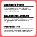 Pienso Plet para Cachorros - Pollo con arroz