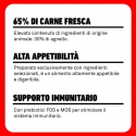 Latas Plet para perros adultos. Cordero con calabacín