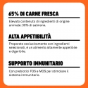 Latas Plet para perros adultos. Salmón con guisantes.