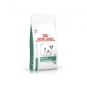 Satiety Small Dog (6)