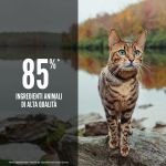 Crocchette Orijen Six Fish per gatti adulti con pesce