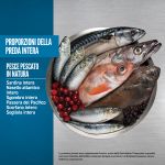 Crocchette Orijen Six Fish per gatti adulti con pesce