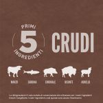 Crocchette Orijen Regional Red per gatti adulti
