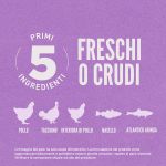 Crocchette Orijen senza cereali per cuccioli di taglia grande