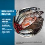 Crocchette Orijen Six Fish per cani adulti con pesce