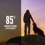 Crocchette Orijen Regional Red per cani adulti con carne rossa