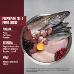 Crocchette Orijen per cani adulti di piccola taglia con tacchino e pollo