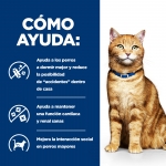 Hills Prescription Diet-PD Feline c/d con Pollo (1)