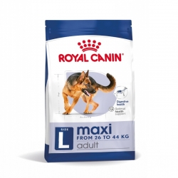 Maxi Adulto Razze Grande (10)