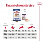 Maxi Adulto Razze Grande (10)