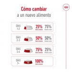 Maxi Adulto Razze Grande (10)