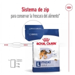 Maxi Adulto Razze Grande (10)