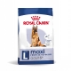 Royal Canin Maxi Adult 5+ cibo secco per cani anziani di taglia grande