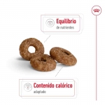 Royal Canin-Mini Ageing +12 Razze Piccole (1)