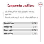 Royal Canin-X-Small Ageing +8 Razze Miniatura (1)