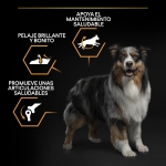 OptiBalance Adulto Razze Medie
