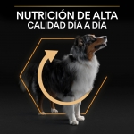 OptiBalance Adulto Razze Medie