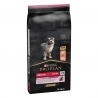 PRO PLAN SENSITIVE SKIN cibo secco per cuccioli con salmone.