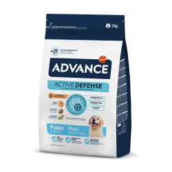 Affinity Advance-Cucciolo Razze Grande (1)