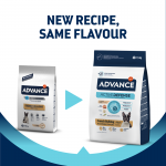 Affinity Advance-Bulldog Francese Adulto (1)