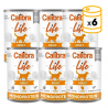 Pack x6 Calibra Life cane Adulto Lattine con Tacchino con Mele