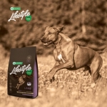 Nature´s Protection Lifestyle Lamb Pienso para Perros con Cordero