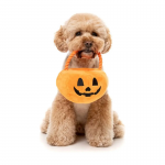 Fuzzyard Calabaza Truco o Trato Juguete para Perros Halloween