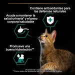 Pro Plan Sterilised Terrine Bacalao Comida Húmeda para Gatos Esterilizados