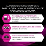 Pro Plan Veterinary Diets UR Urinary Comida Húmeda para Gatos con Pollo