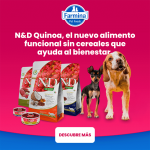 Farmina ND Quinoa Weight Management Pienso para perros minis de Cordero