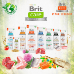 Brit care adult medium breed cordero arroz pienso para perros