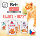 Brit care cat filetes en salsa con pollo latas para gato