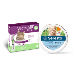 Pack Super Protezione: collare Seresto per gatti + Vectra Felis pipette per gatti