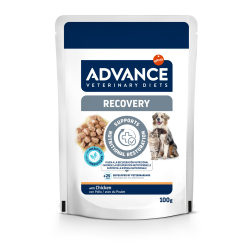 Advance Veterinary Diets Recovery Comida Húmeda para Perros y Gatos