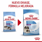 Royal Canin-Giant Starter Gestazione/Lattazione (1)