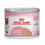 Royal Canin-BabyCat Instinctive Umido 195gr (1)