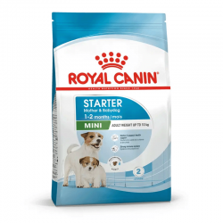 Royal Canin-Mini Starter Gestazione/Lattazione (1)