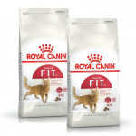 Royal Canin Regular Fit 32 cibo secco per gatti adulti