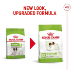 Royal Canin X-Small Adult 8+ cibo secco per cani anziani di razze di taglia mini