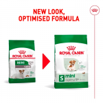 Royal Canin Mini Ageing 12+ ração para cães pequenos em idade avançada